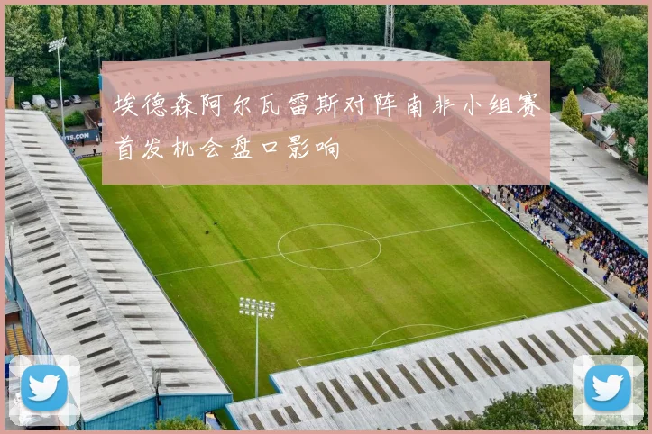 埃德森阿尔瓦雷斯对阵南非小组赛首发机会盘口影响