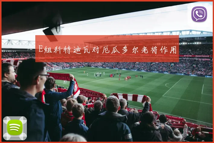 E组科特迪瓦对厄瓜多尔老将作用