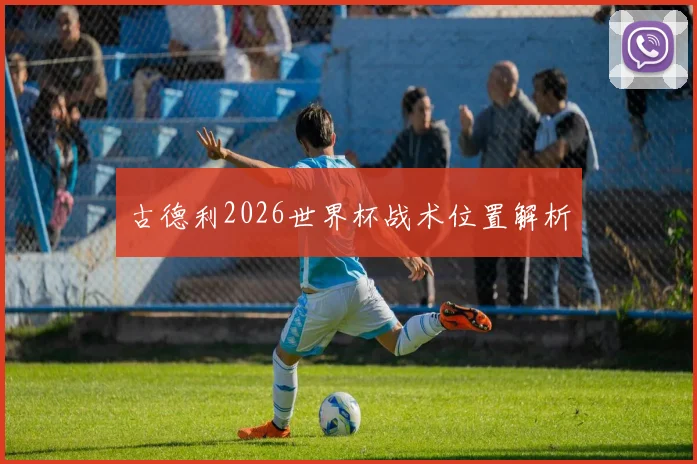 古德利2026世界杯战术位置解析