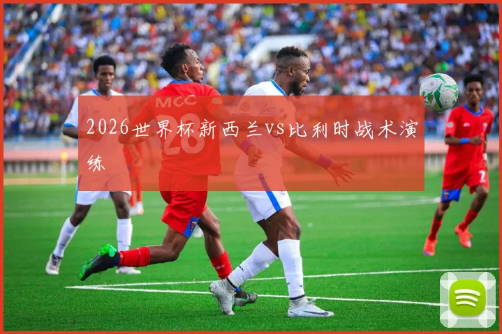 2026世界杯新西兰vs比利时战术演练