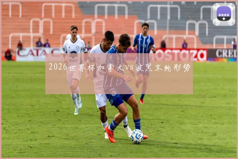2026世界杯加拿大vs波黑末轮形势